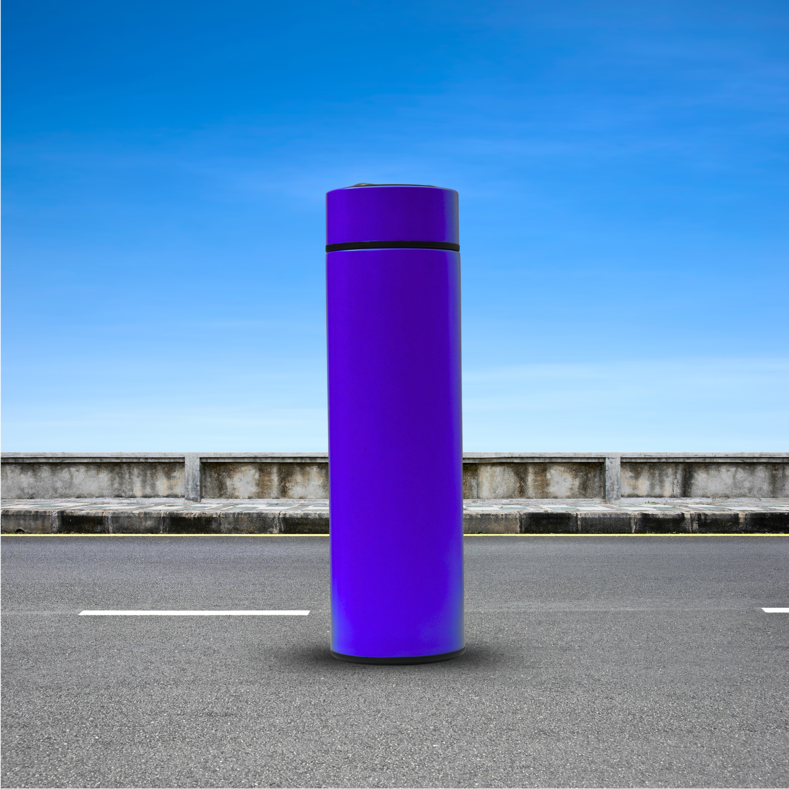 Temperature Display stainless steel water Bottle