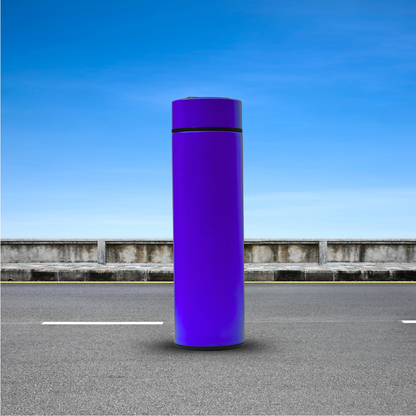 Temperature Display stainless steel water Bottle