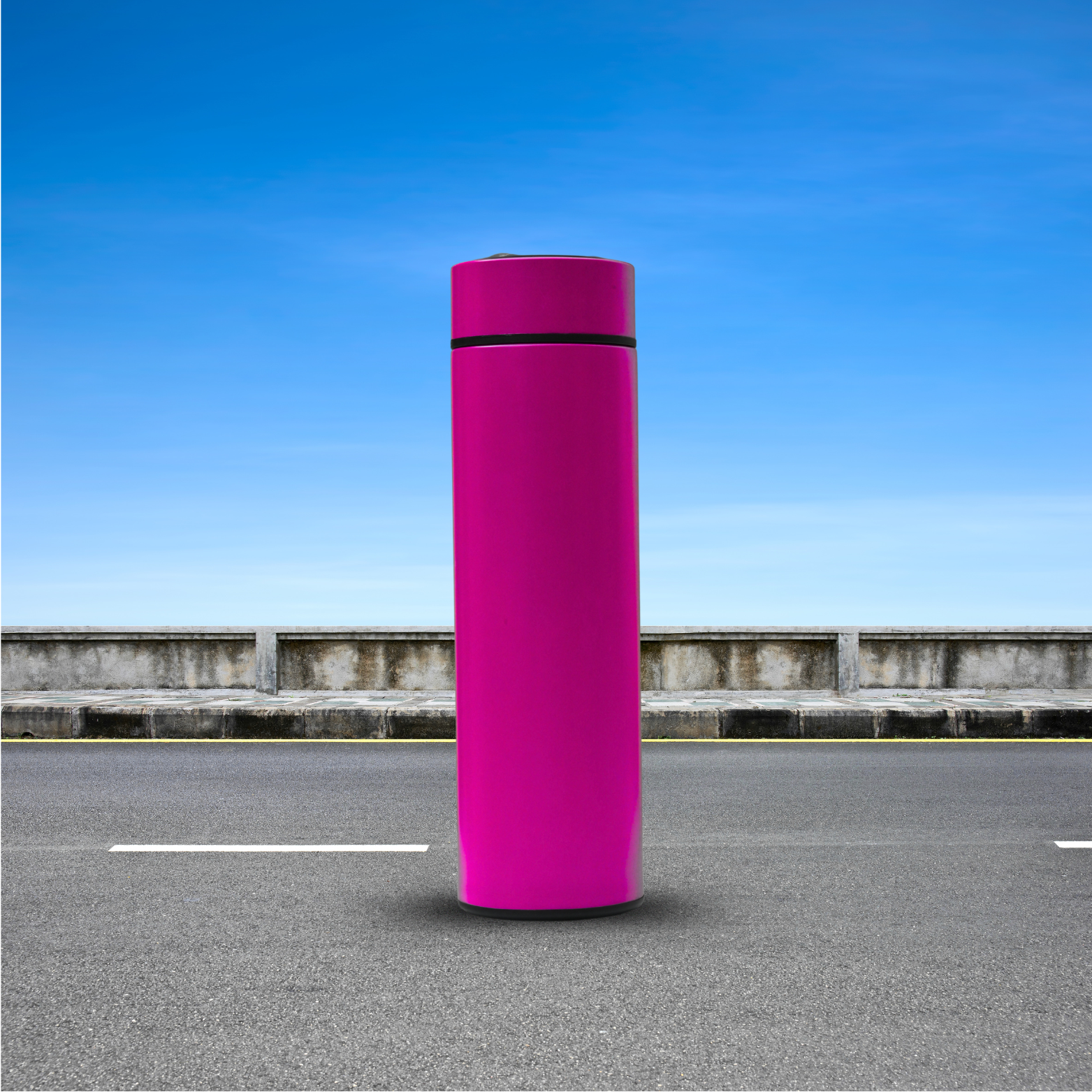 Temperature Display stainless steel water Bottle
