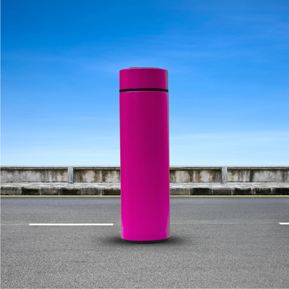 Temperature Display stainless steel water Bottle